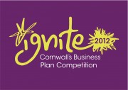 Ignite Business Plan Competition